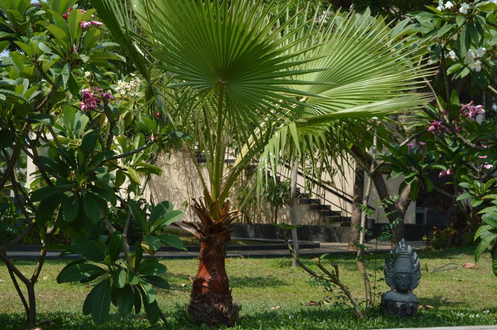Welcomhotel By Itc Hotels, Kences Palm Beach, Mamallapuram Exterior photo