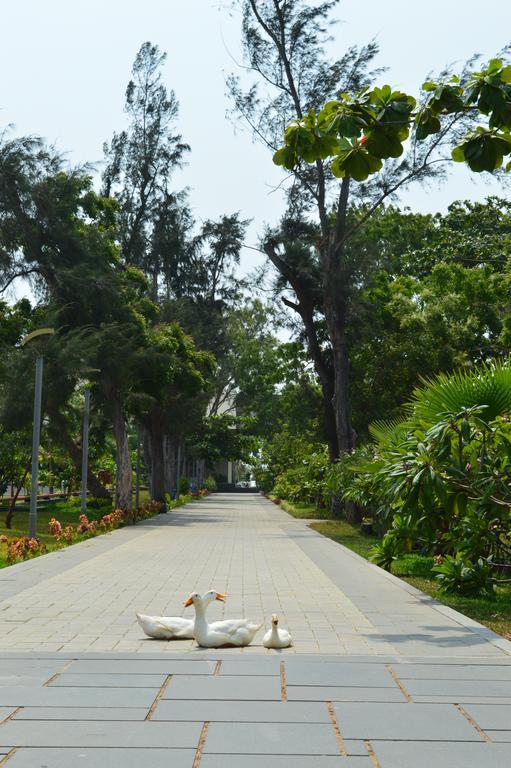 Welcomhotel By Itc Hotels, Kences Palm Beach, Mamallapuram Exterior photo